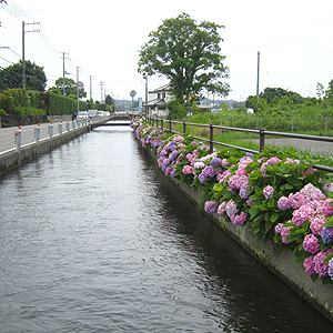 小川沿いの散策コース